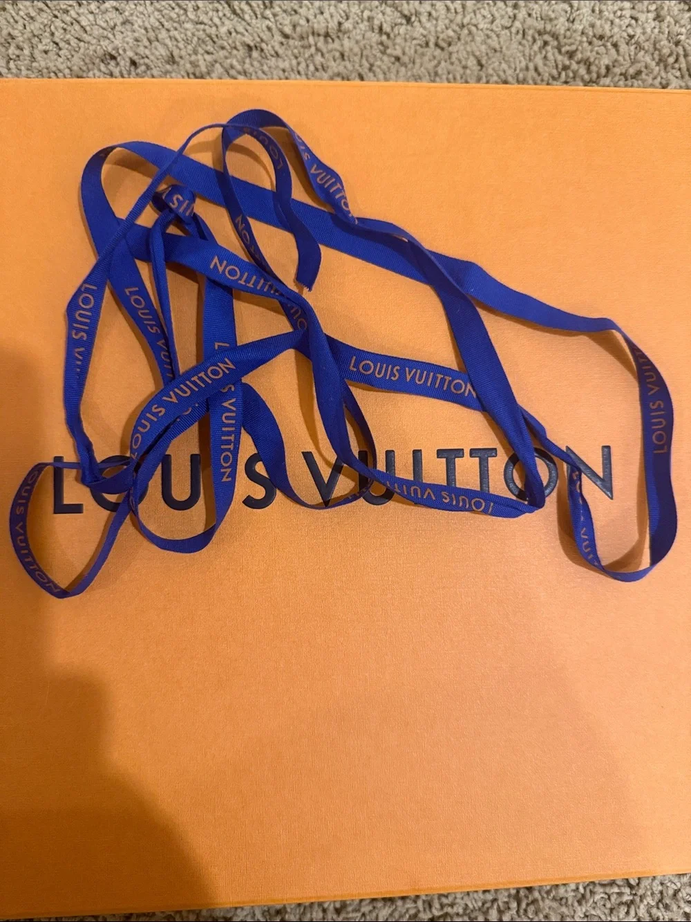 Louis Vuitton authentic louis